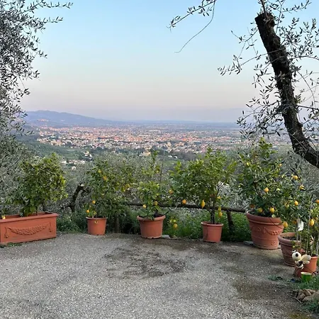 Oliveto Tuscany