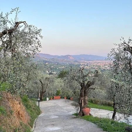 Casa de Férias Oliveto Tuscany