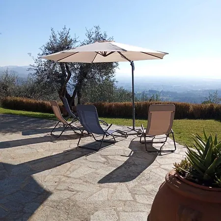 Oliveto Tuscany * Massa e Cozzile