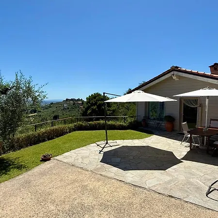 Oliveto Tuscany Massa e Cozzile