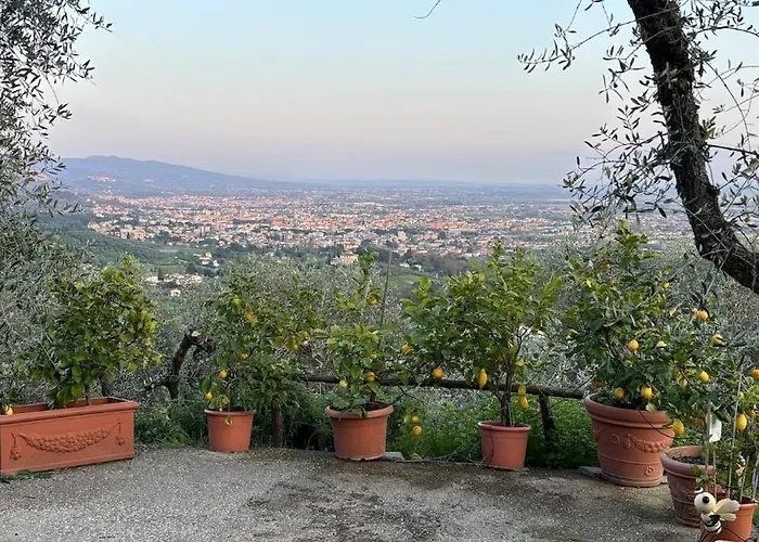 Oliveto Tuscany